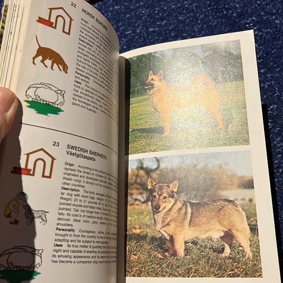 Identity dogs 320 Breeds - Picture 7 of 13